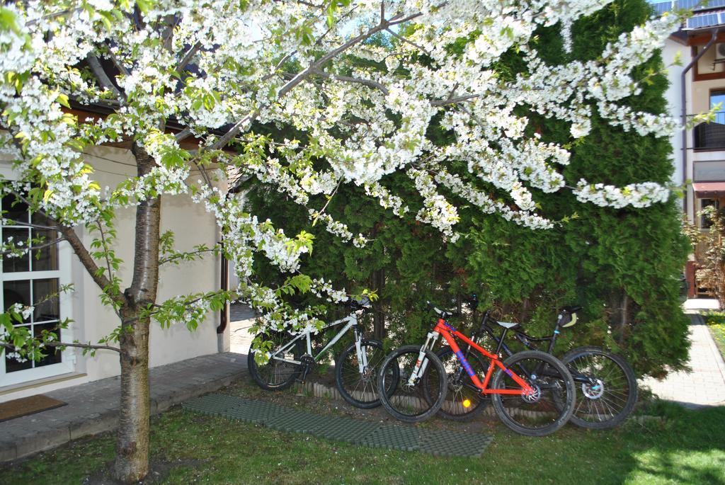 Apartament Beta Apartment Bistrita  Exterior photo